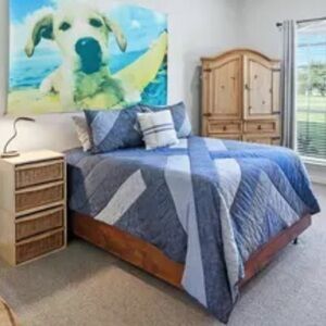 Pottery Barn Teen Quilt & Shams